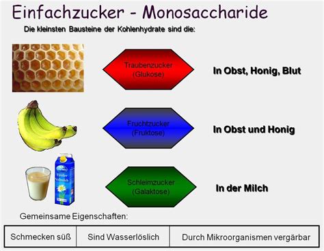 kohlenhydrate steckbrief|was sind kohlenhydrate einfach erklärt.